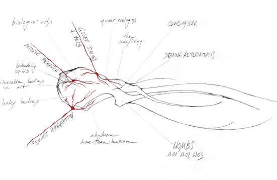 a drawing in black and red. words: biological arts, queer ecologies, the non/living, Covid 19 scar, SEMINA AETERNITAS, biohacking DIY-bio, vulnerable bodies in art, leaky bodies, ahuman more.tan-huma, WOMBS W.01 W.02 W.03 near red lines these words: FEMISNIST POSTHUMANITIES, ARTISTIC RESEARCH, QUEER STUDIES Q. VERB