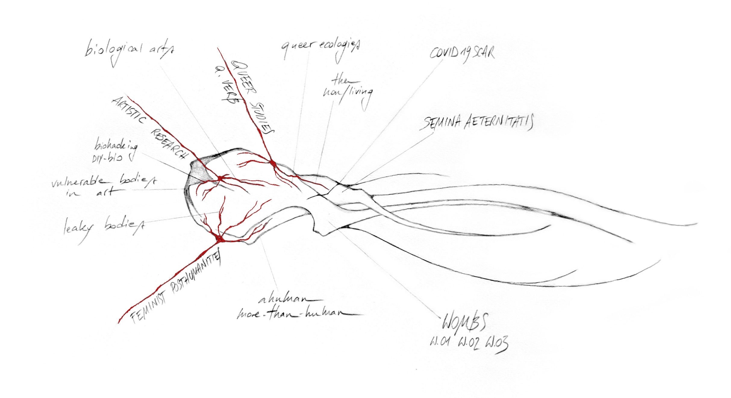 a drawing in black and red. words: biological arts, queer ecologies, the non/living, Covid 19 scar, SEMINA AETERNITAS, biohacking DIY-bio, vulnerable bodies in art, leaky bodies, ahuman more.tan-huma, WOMBS W.01 W.02 W.03 near red lines these words: FEMISNIST POSTHUMANITIES, ARTISTIC RESEARCH, QUEER STUDIES Q. VERB