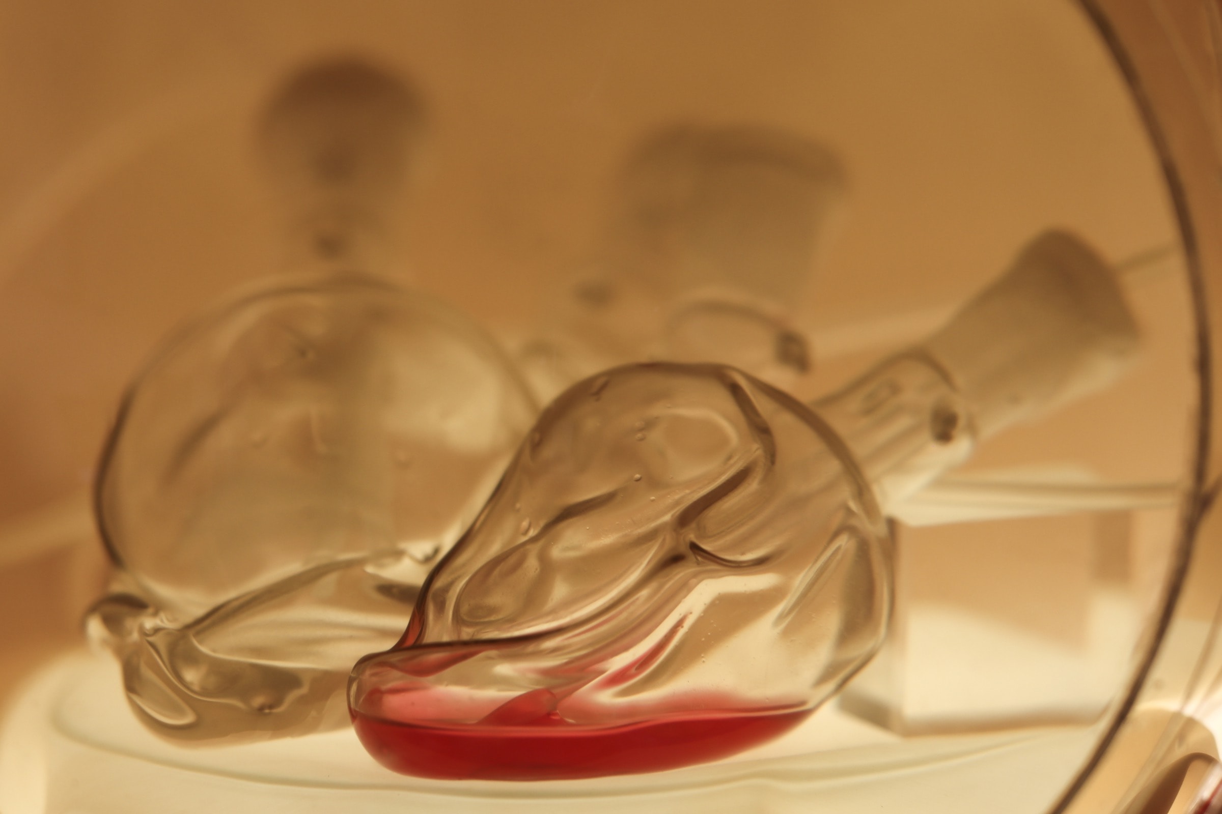 a glass vessel with red liquid