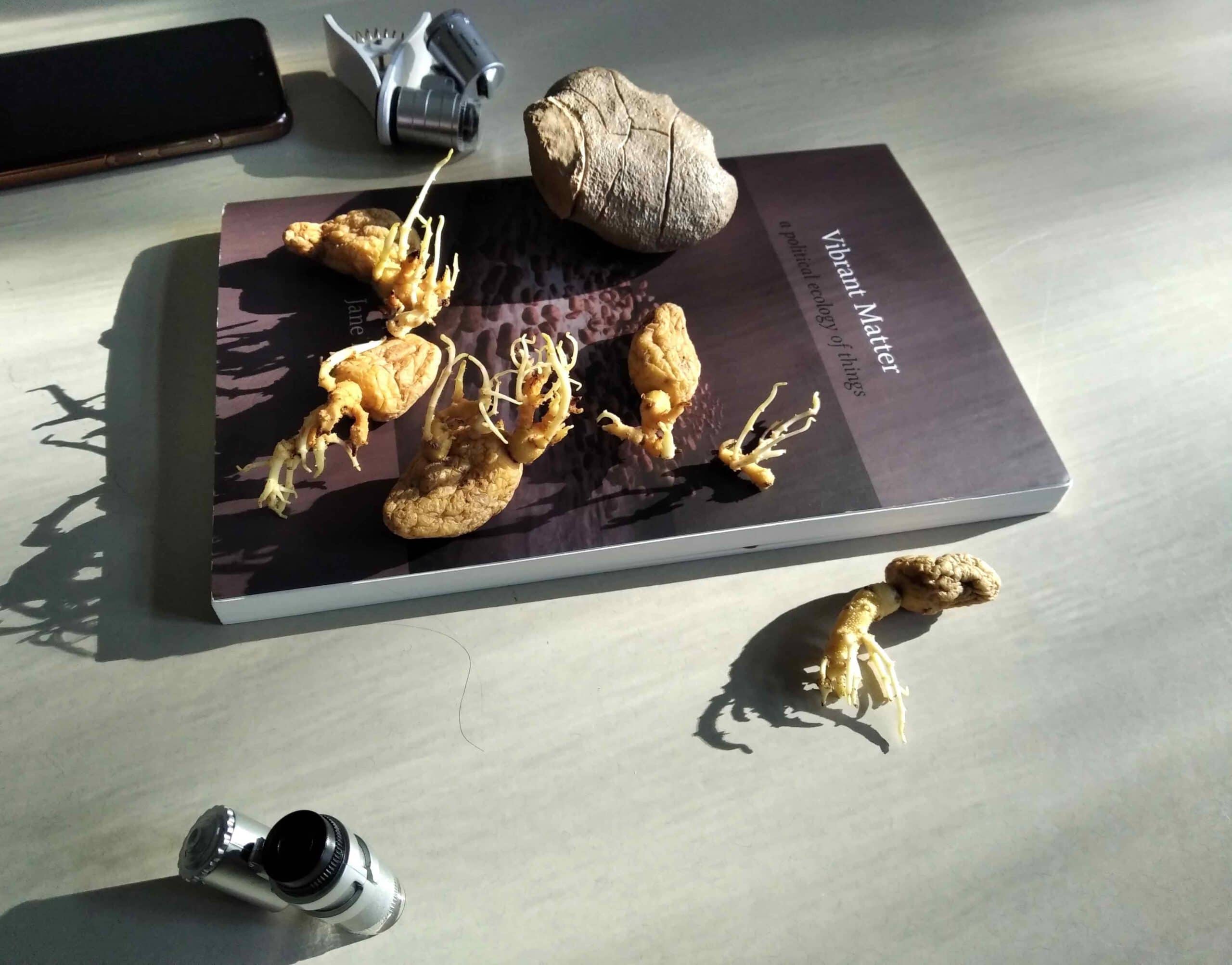 Potatoes and roots on a book: Vibrant Matter. two small DIY microscopes