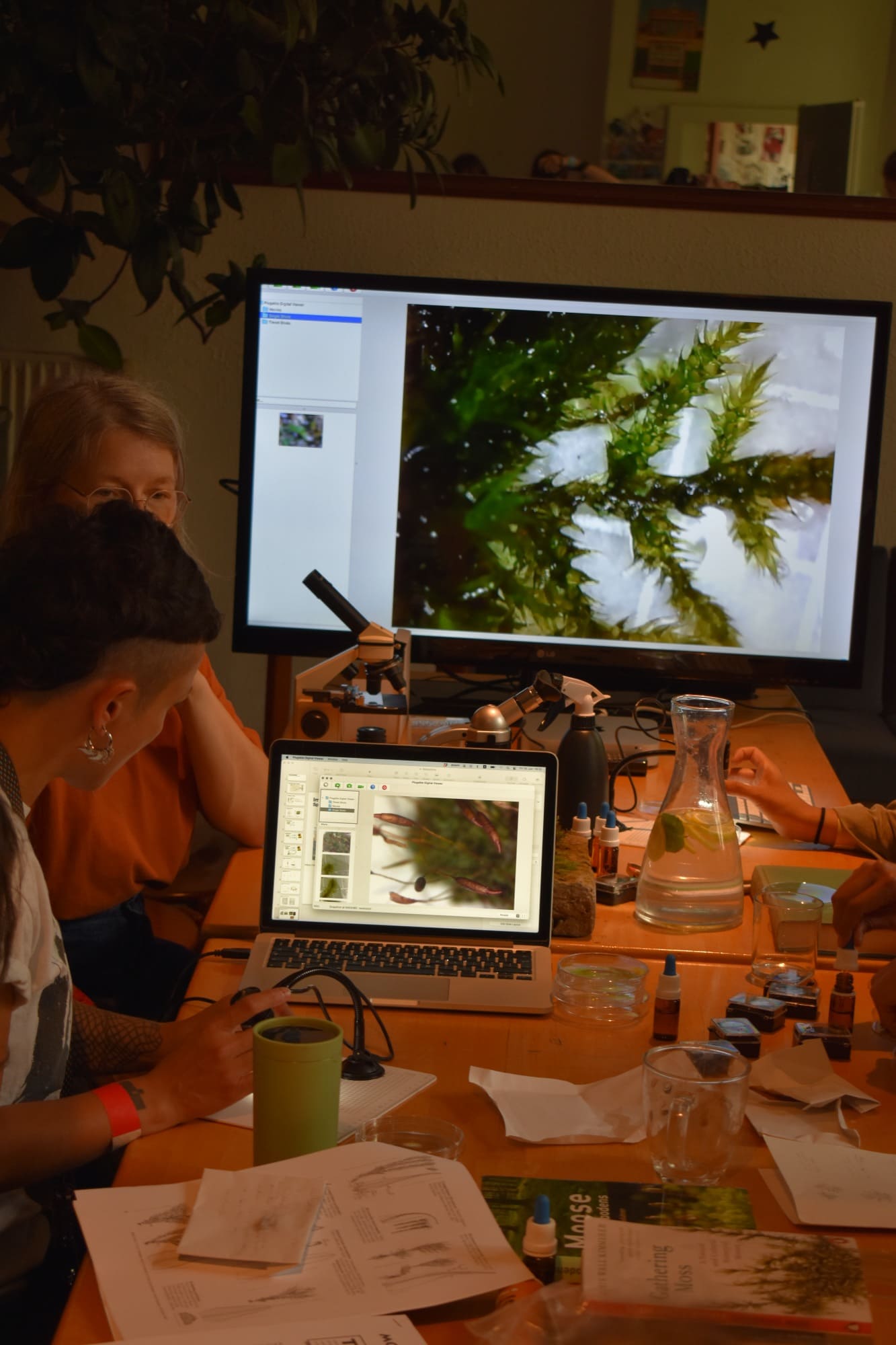 two people seated at a table with a laptop , a glass container and many objects. A larger monitor shows a magnified image of moss