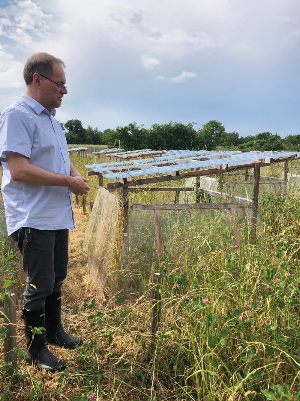 A man standing in a field with glass covered structures