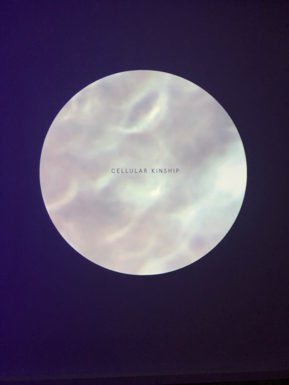 a circle with the words " cellular Kinship"