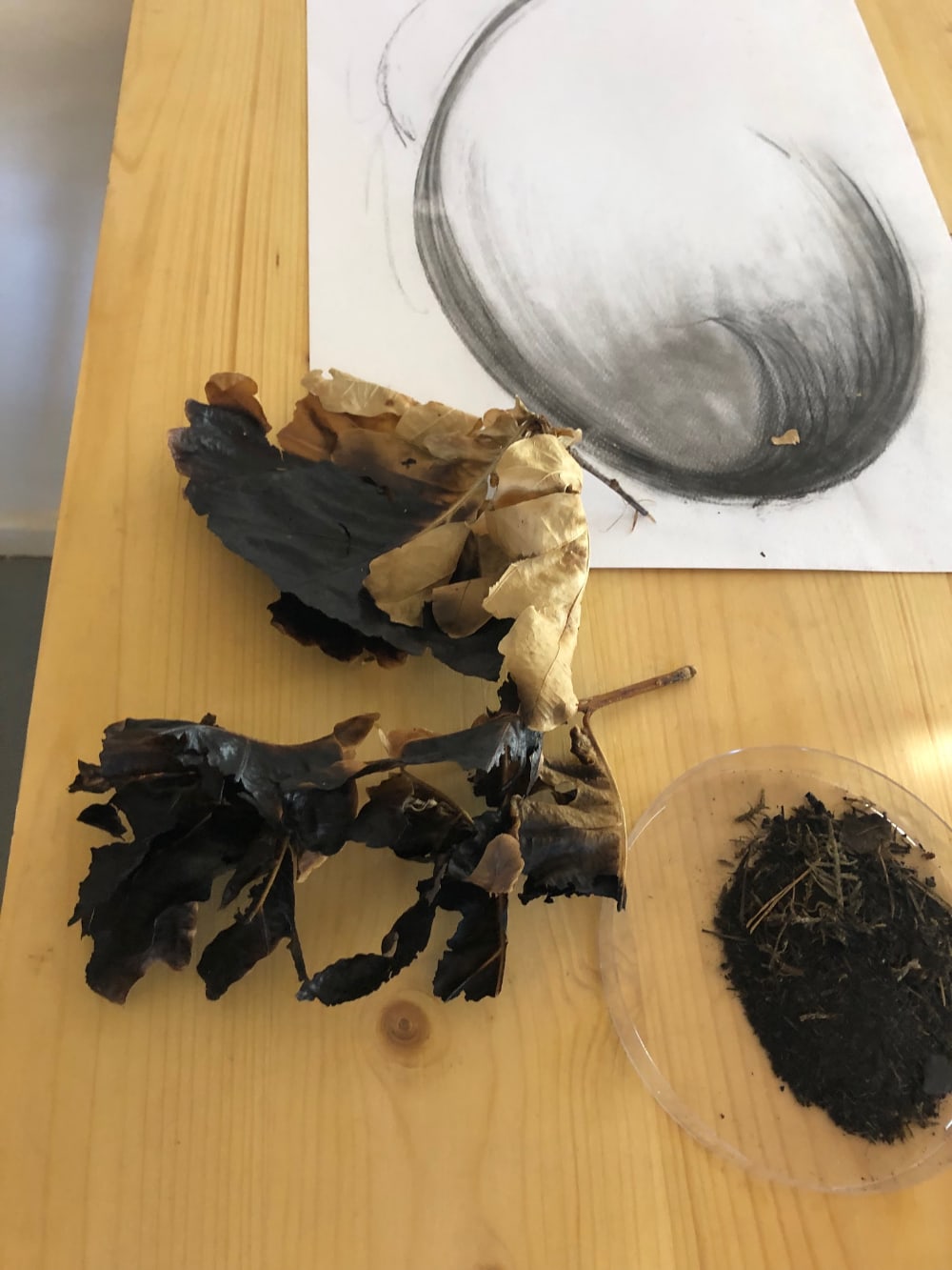 a table with a drawing, and different natural materials