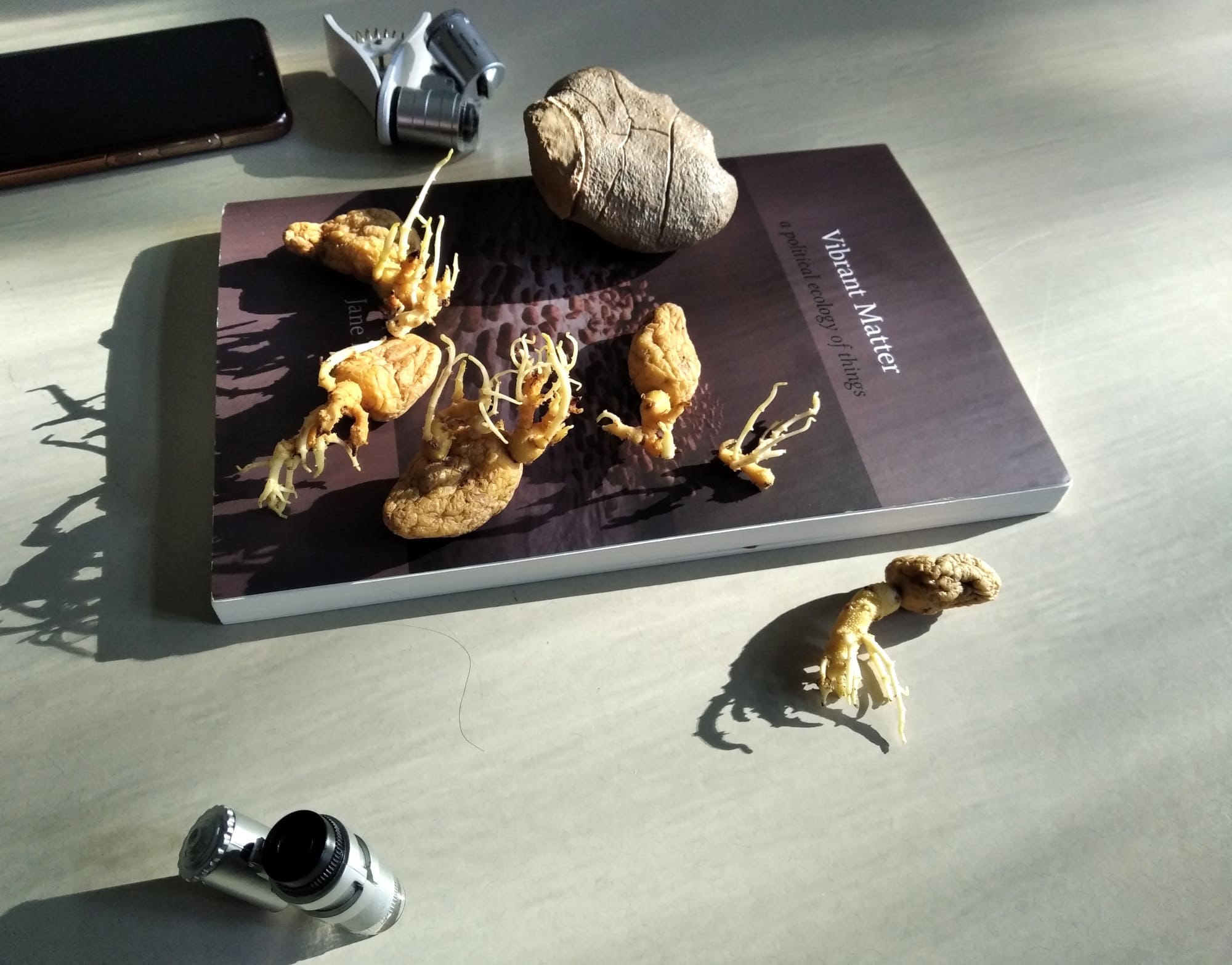 Potatoes and roots on a book: Vibrant Matter. two small DIY microscopes
