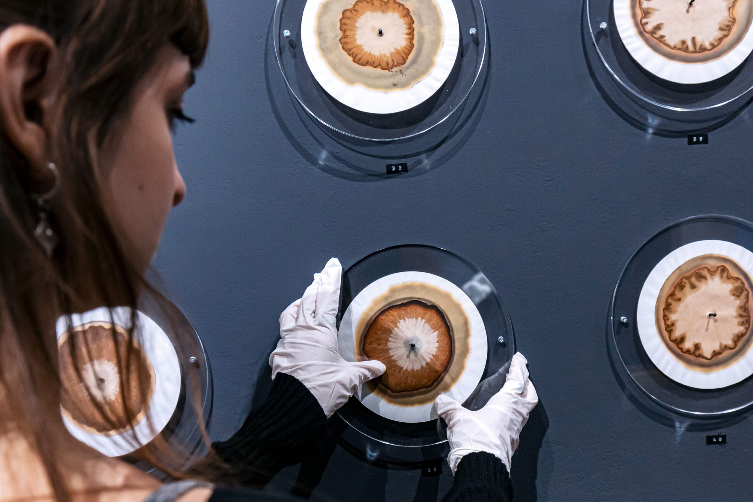 Close up of artwork discs on a grey wall, a person with white gloves removing one of the discs