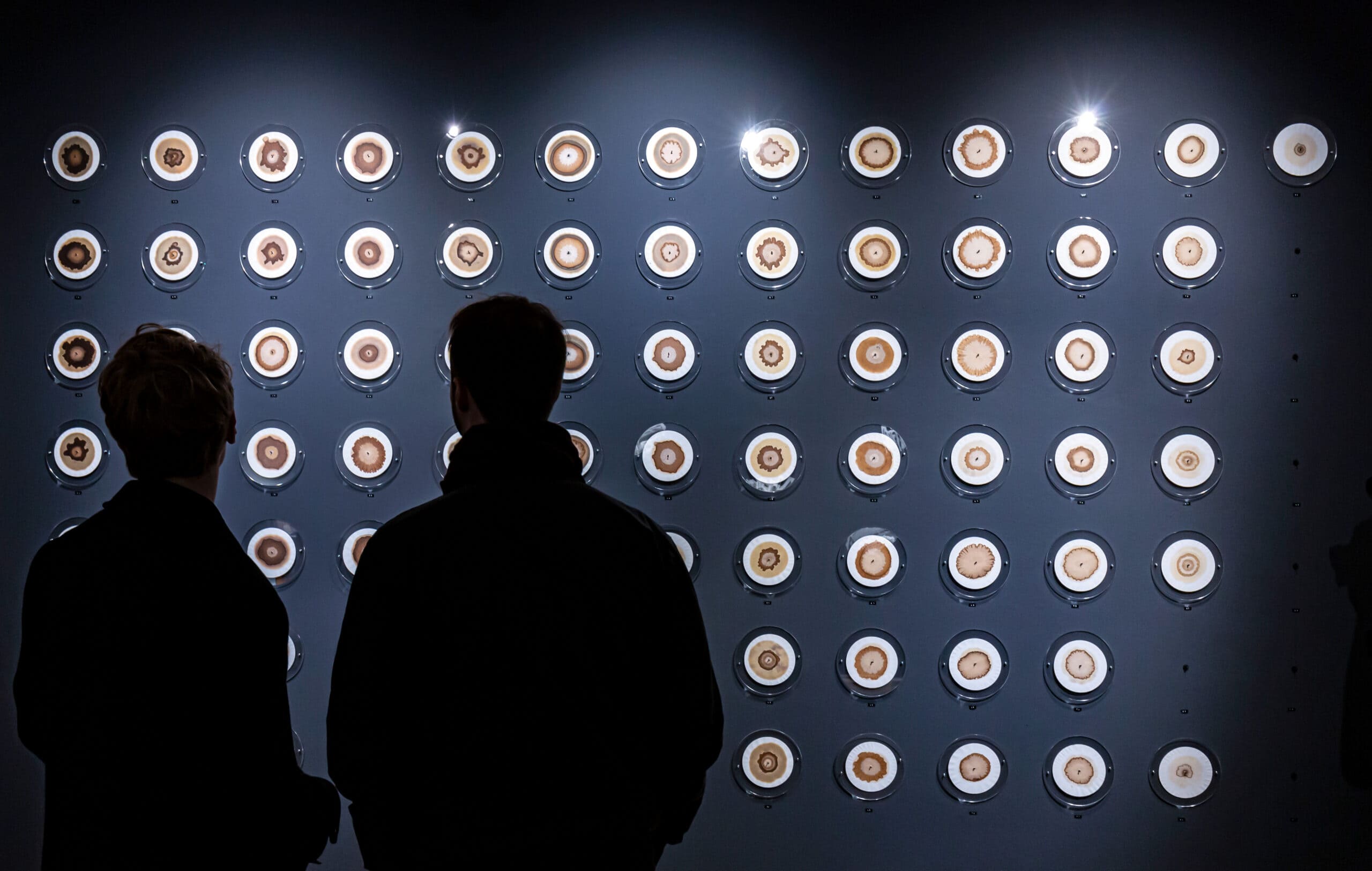 two people standing in front of the artwork, 85 discs on a grey wall
