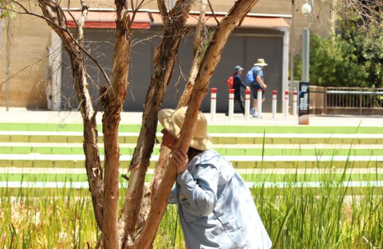 A woman smelling a tree