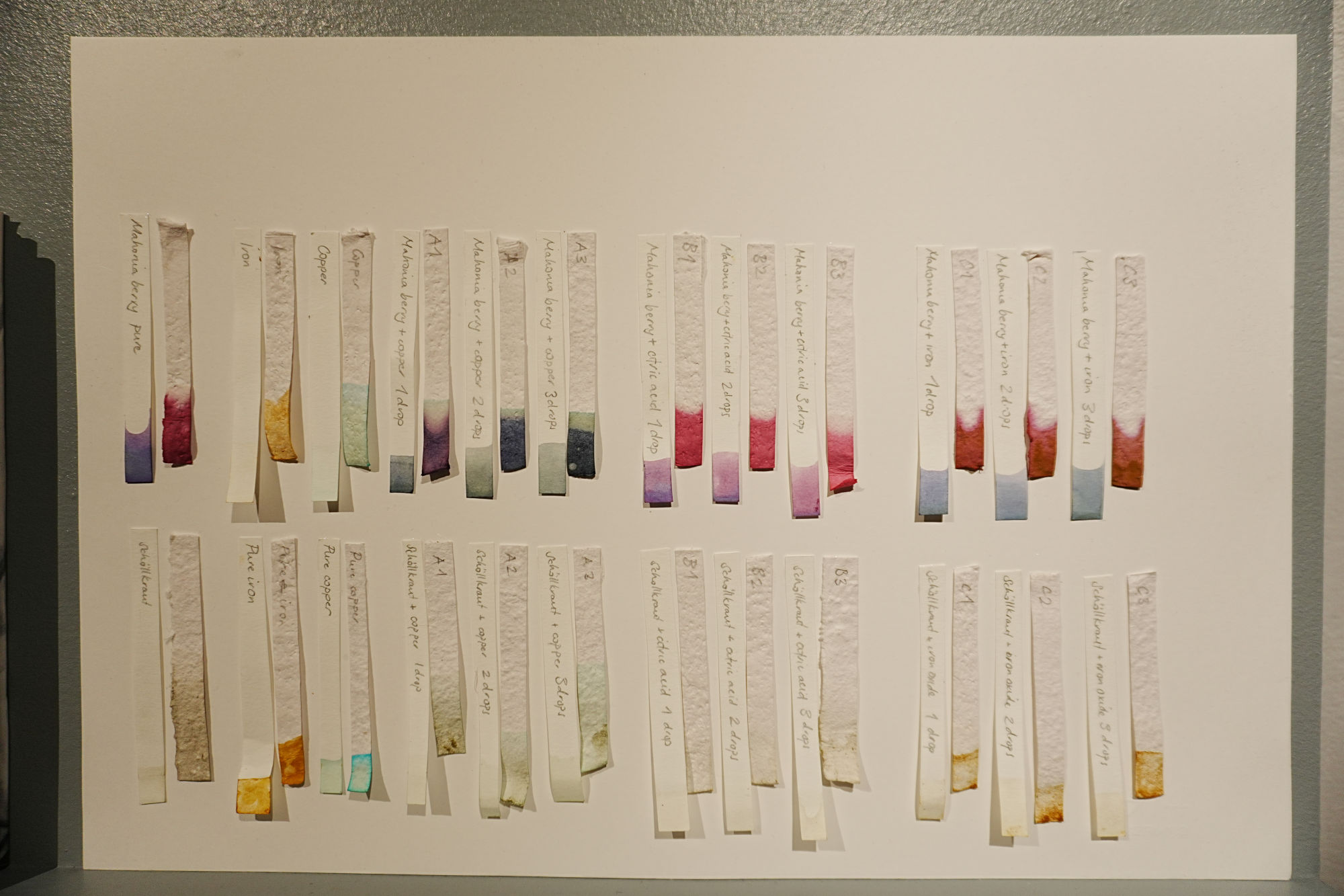 eine Reihe von Teststreifen, die auf ein großes Blatt Papier geklebt werden