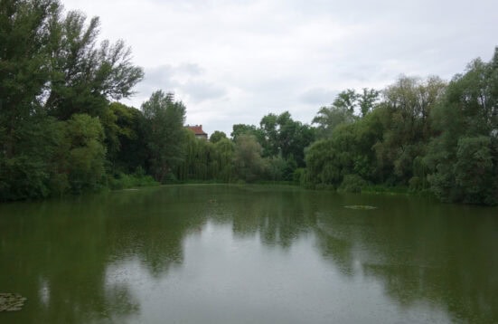 a lake or pond surrounded by trees