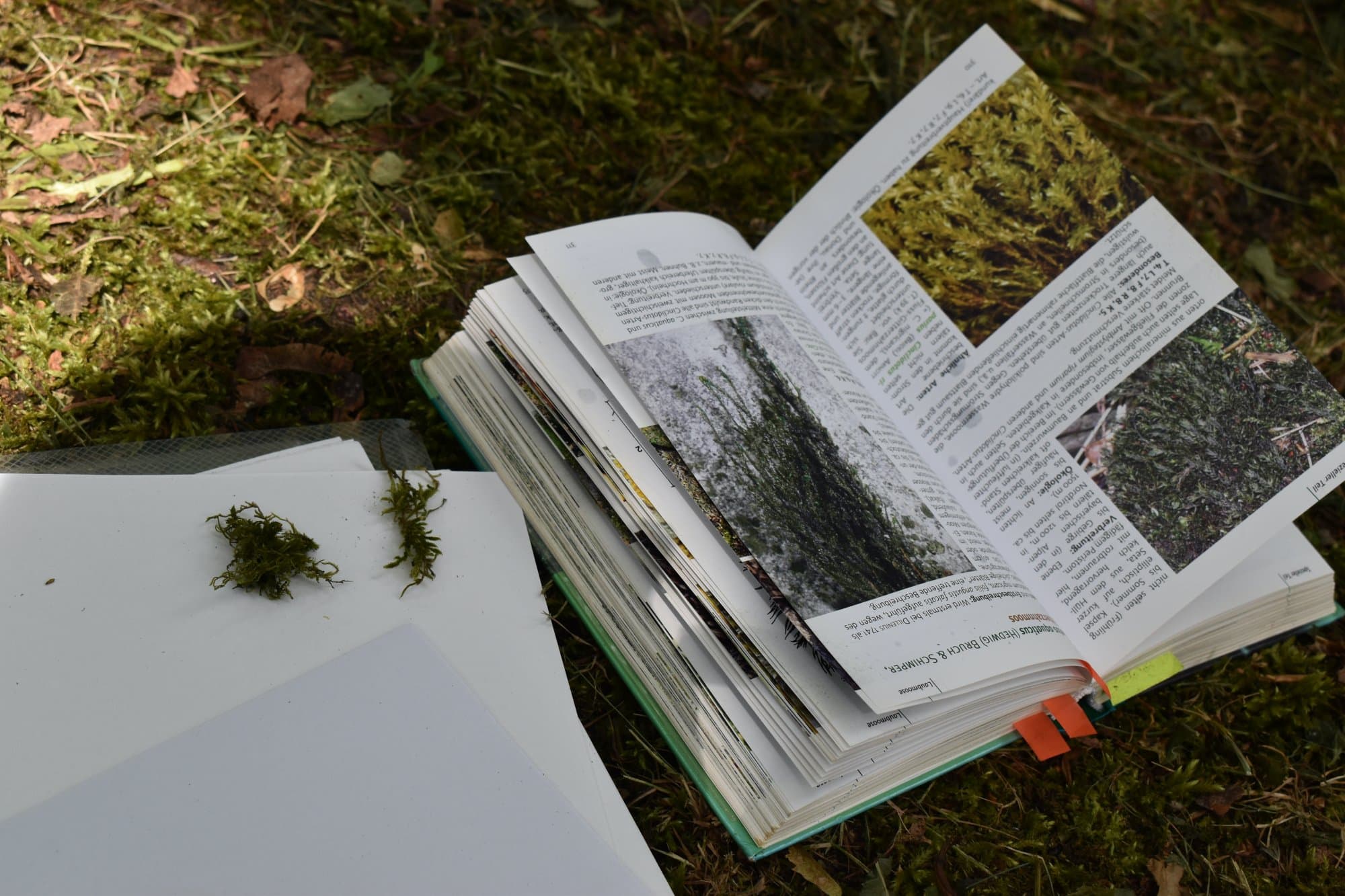 a book lies on the ground next to a piece of white paper and some samples of moss