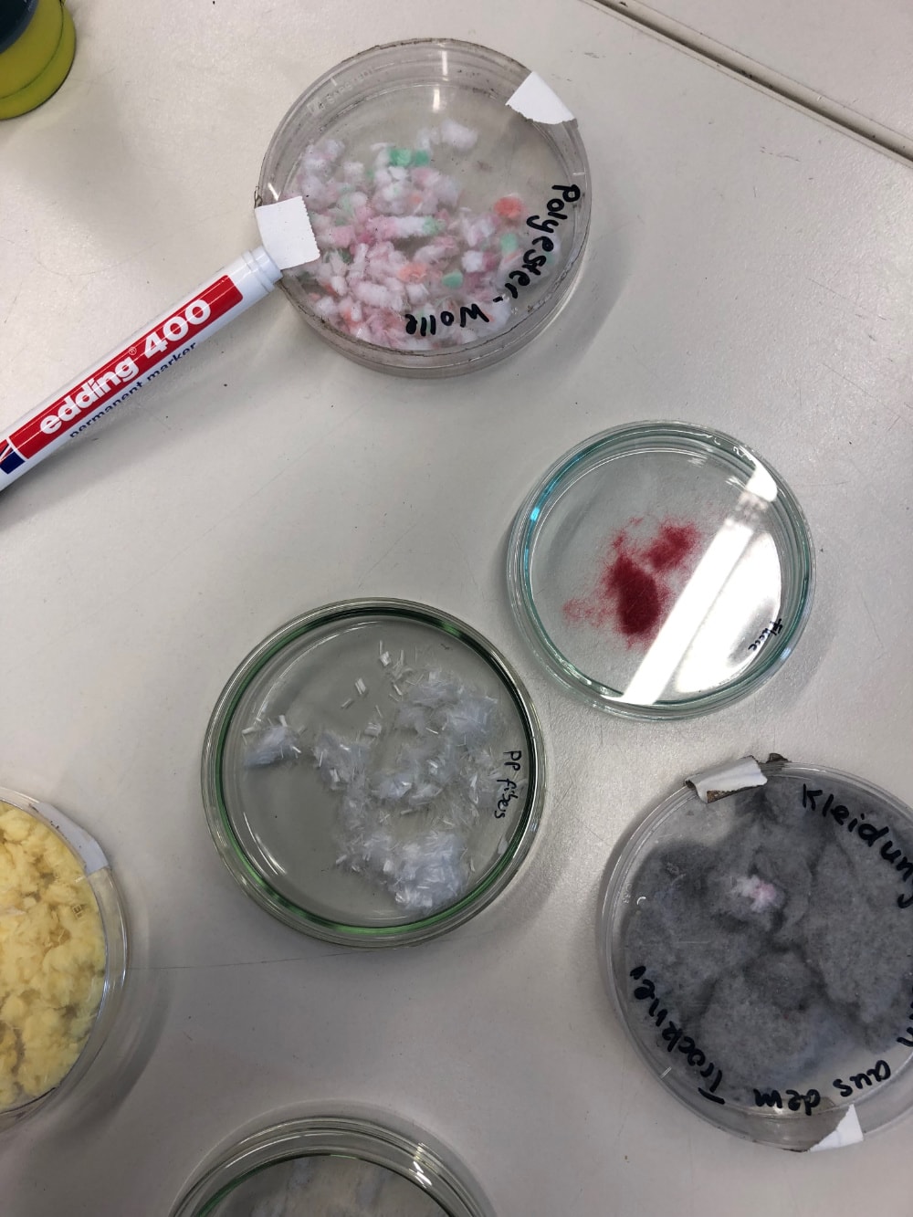 a magic marker and objects in Petri dishes