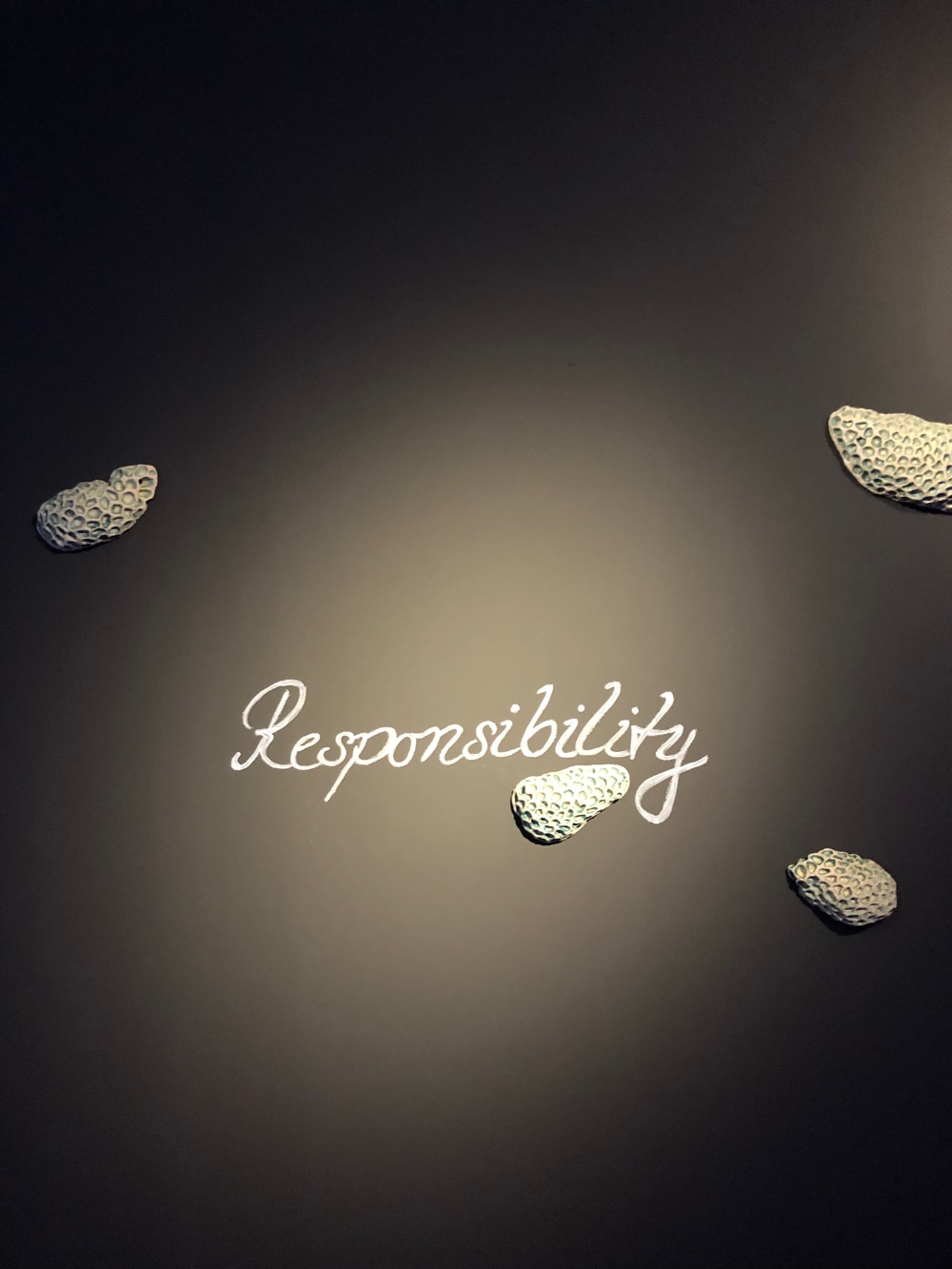 pod like objects on a grey background and the word "Responsibility"