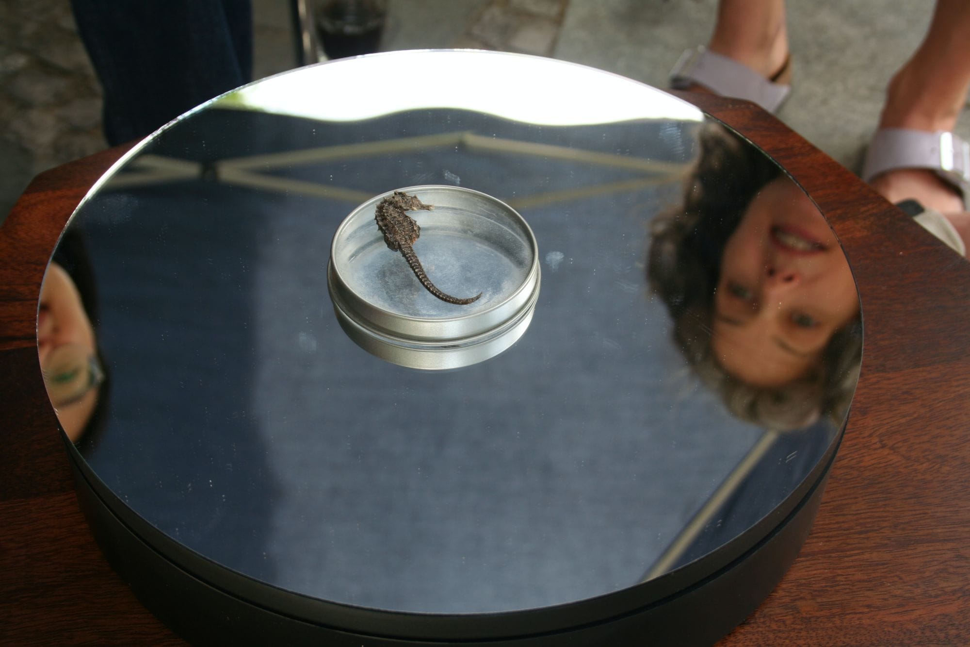a round mirror on a table with a small seahorse on a metal can on top. reflections of two women looking