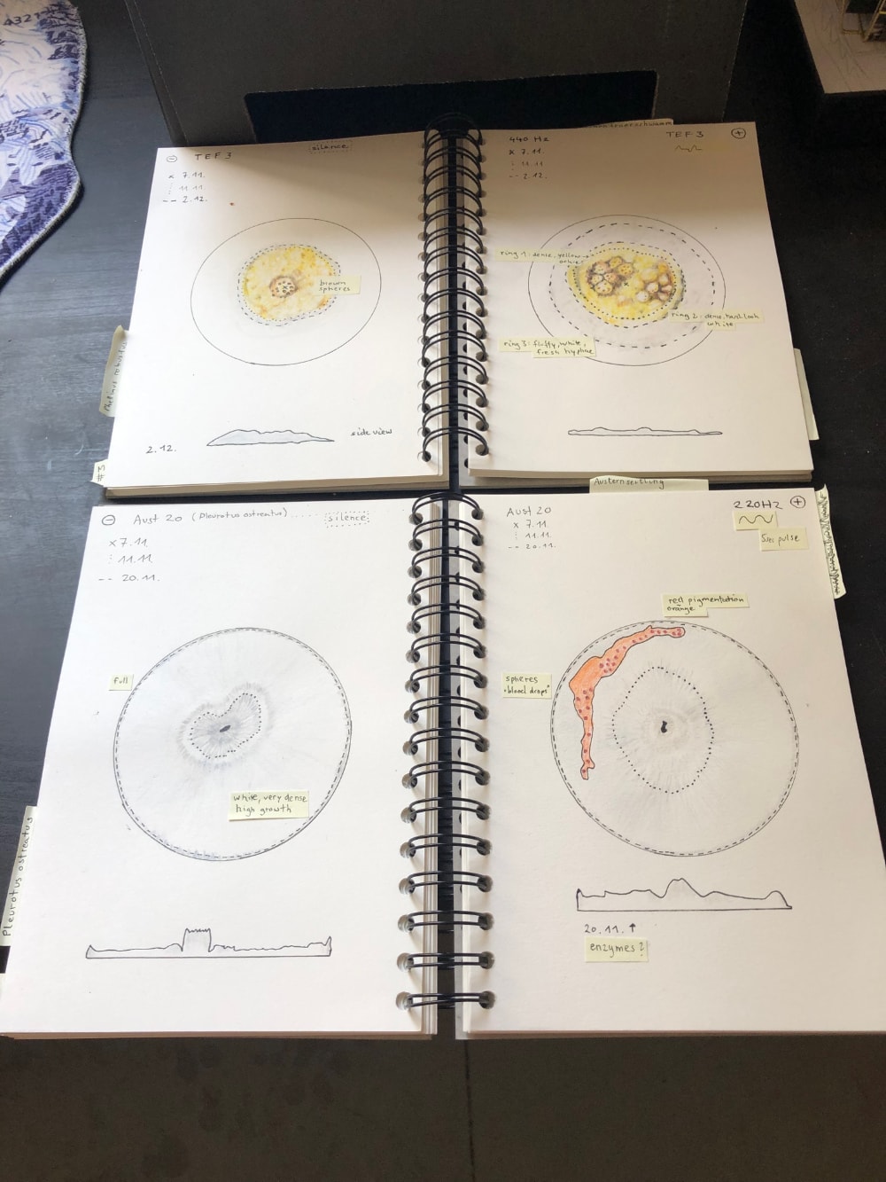 open notebooks with circular forms