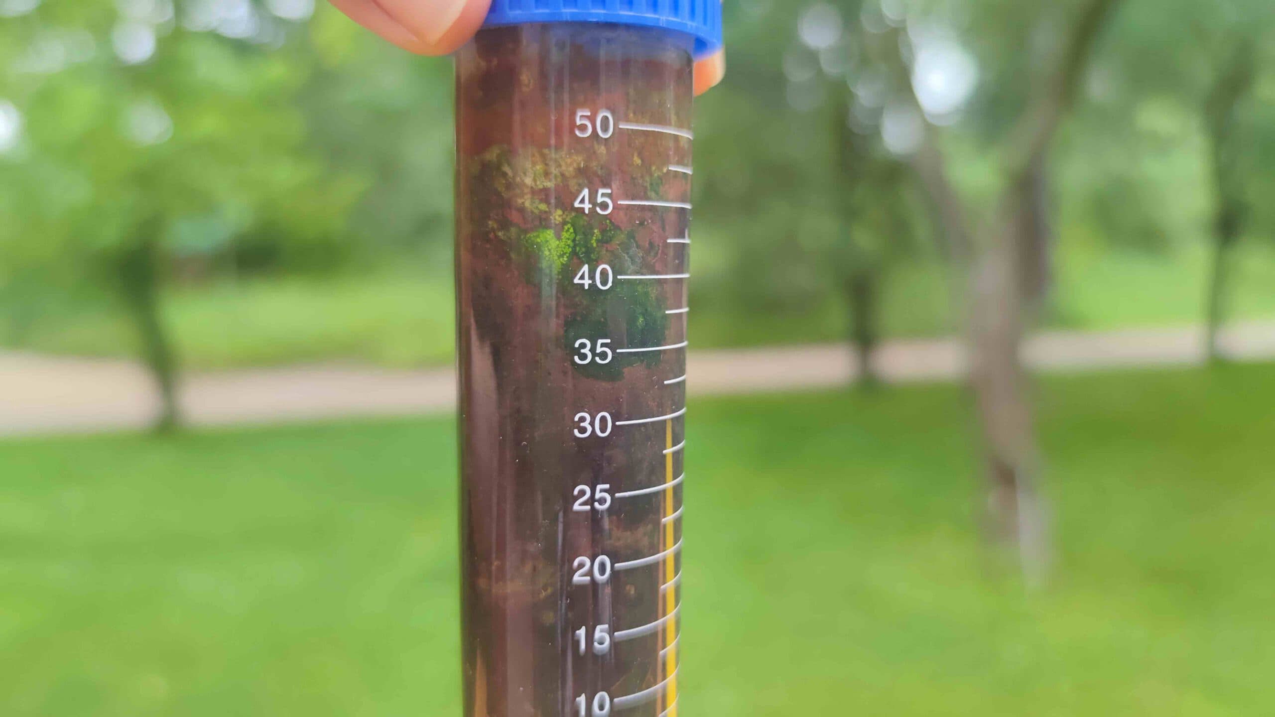 a laboratory vial filled with soil and green biomaterial, held by fingers