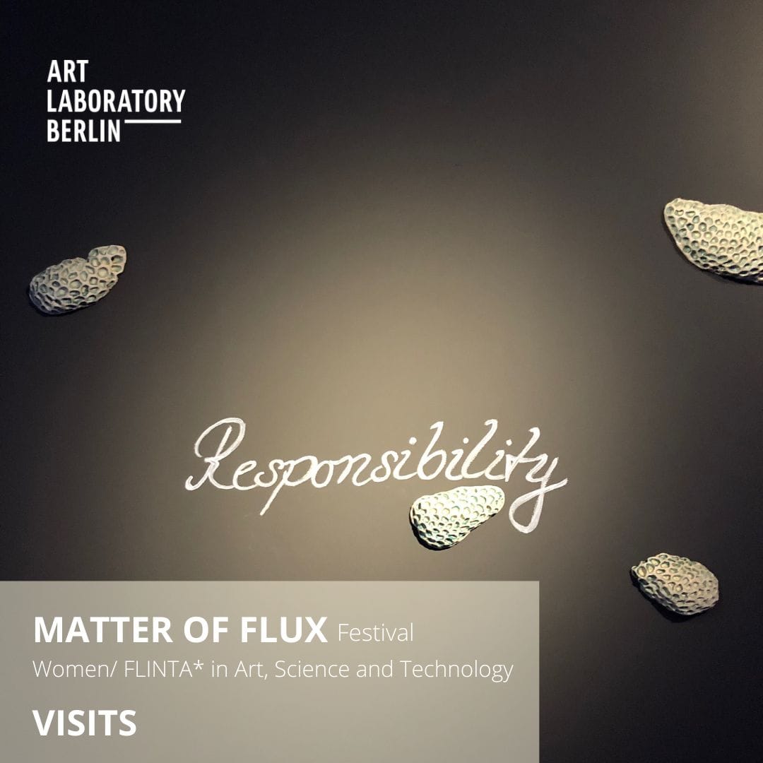pod like objects on a grey background and the word "Responsability" as well as the text Matter of Flux Festival Women/FLINTA* in Art, Science and Technology Visits