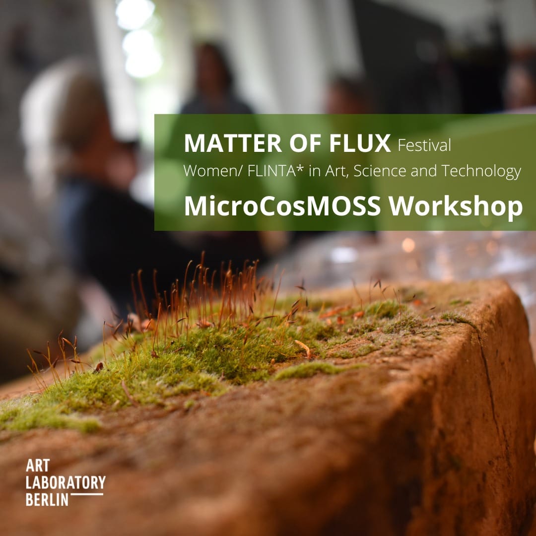 a photograph of moss on a brick and blurred humans in the background. The words" Matter of Flux Festival Festival Women/FLINTA* in Art, Science and Technology MicroCosMOSS Workshop"