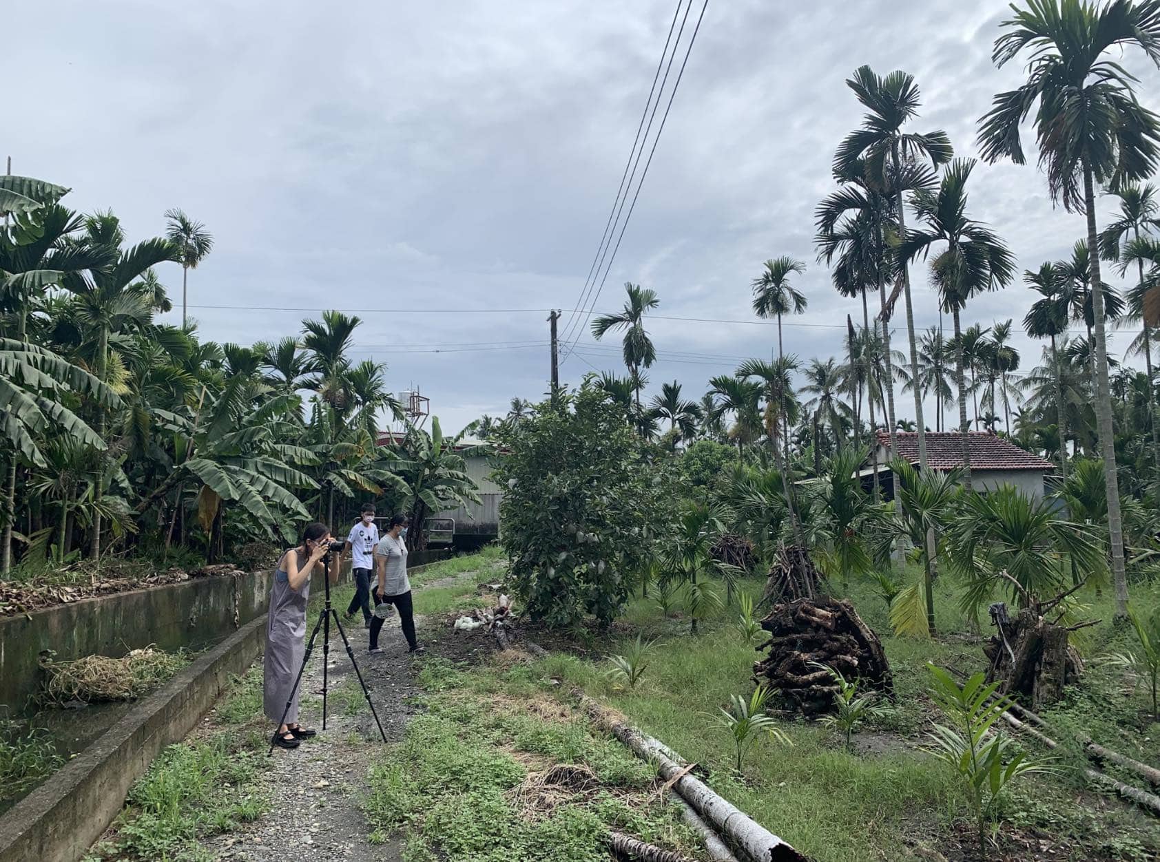 three people, one taking a photograph using a camera on a tripos, houses and palm trees in the background