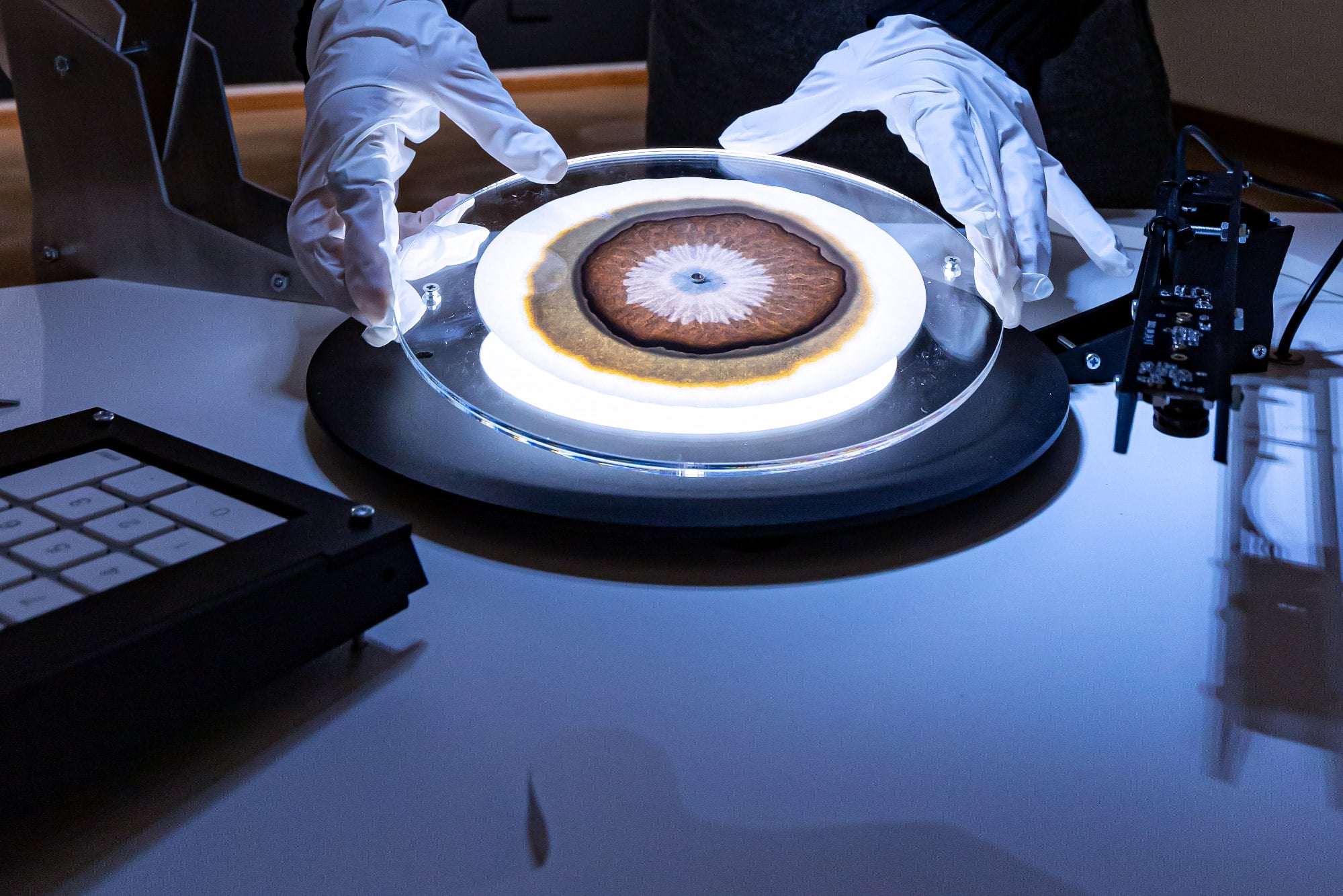 two hands in white gloves placing a disc with brown circular forms on a scanner that resembles a turntable