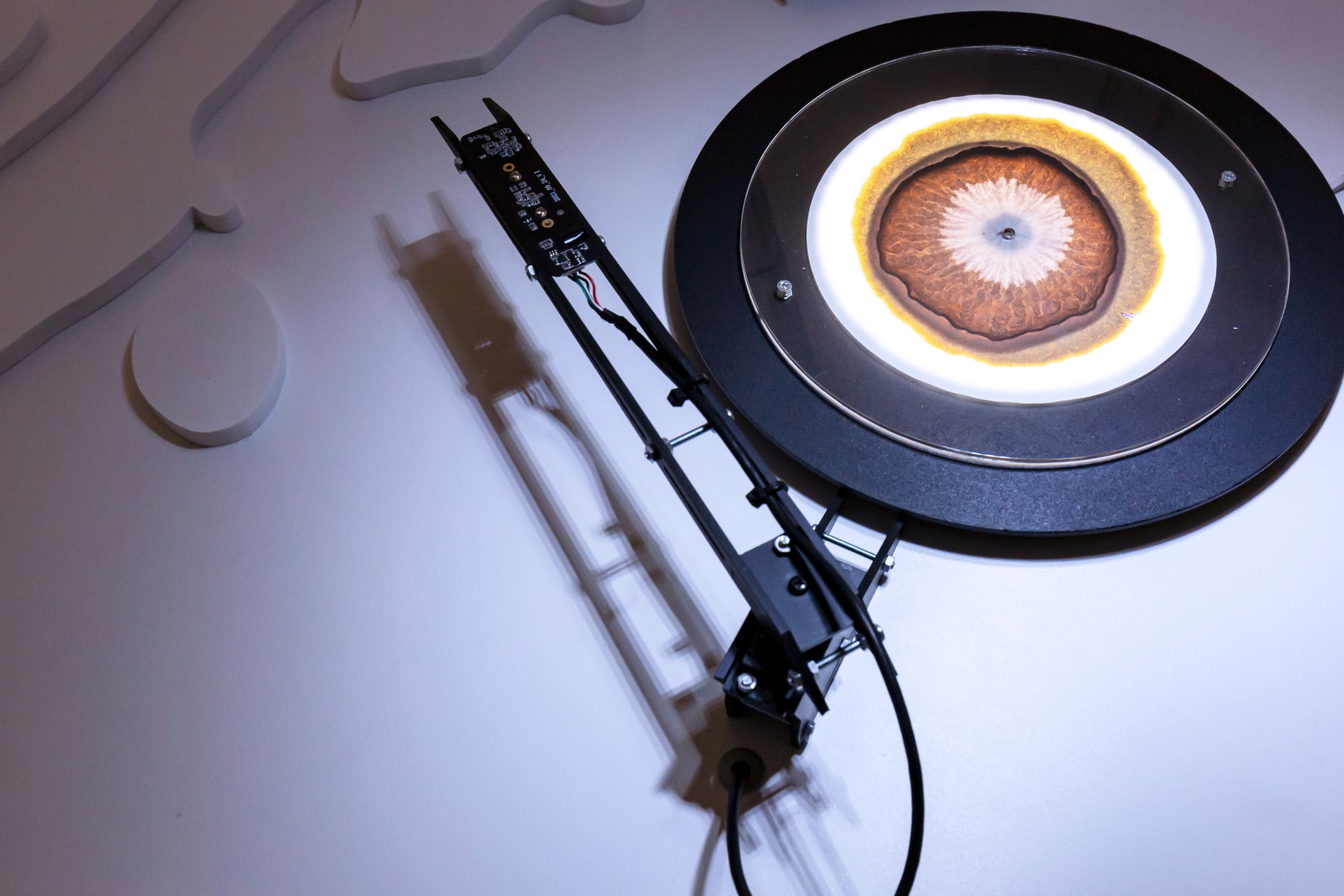 a disc with brown circular forms on a scanner that resembles a turntable