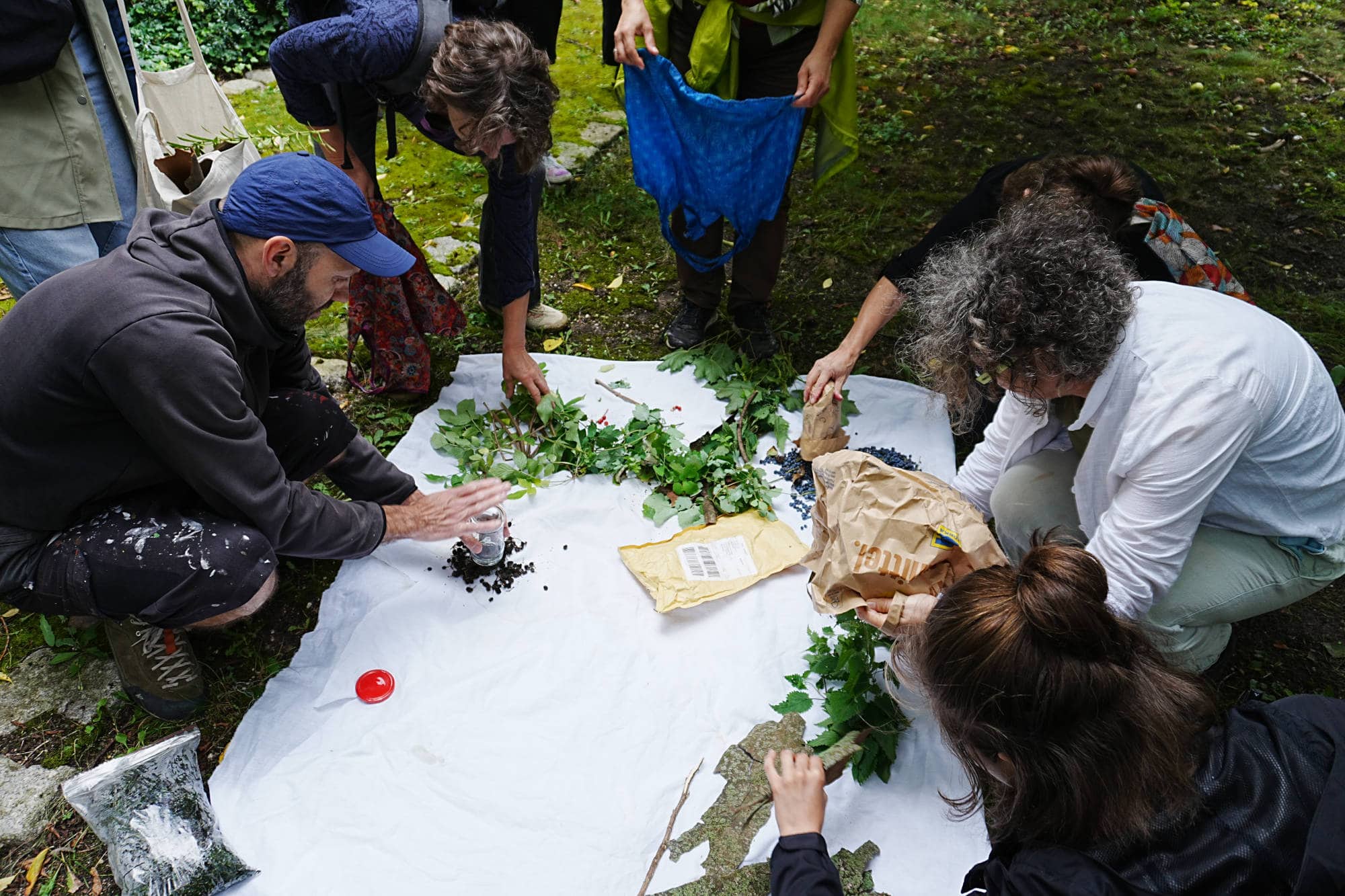 people putting leaves, berries and bark on a white sheet