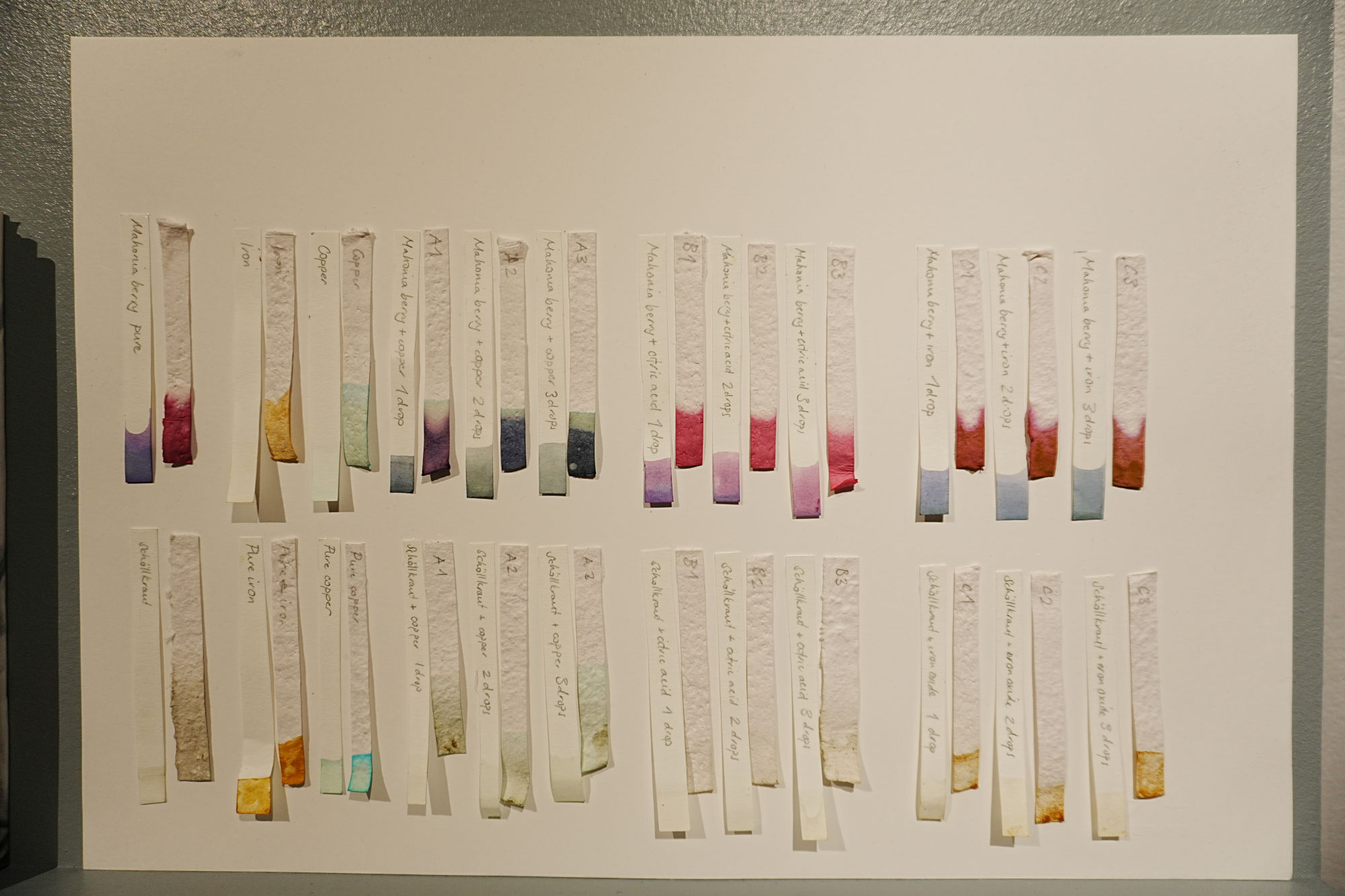 a series of test strips glued to a large piece of paper