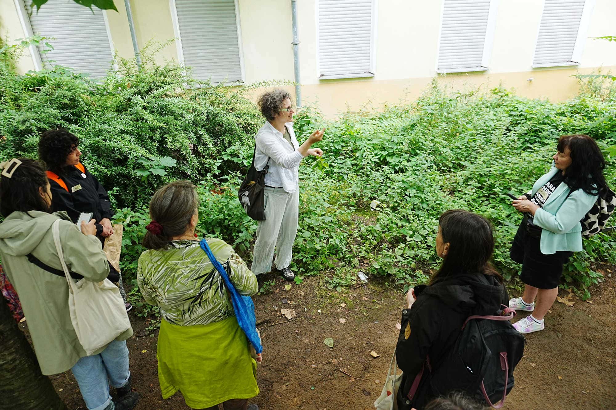 A person talking among shrubs beside a house