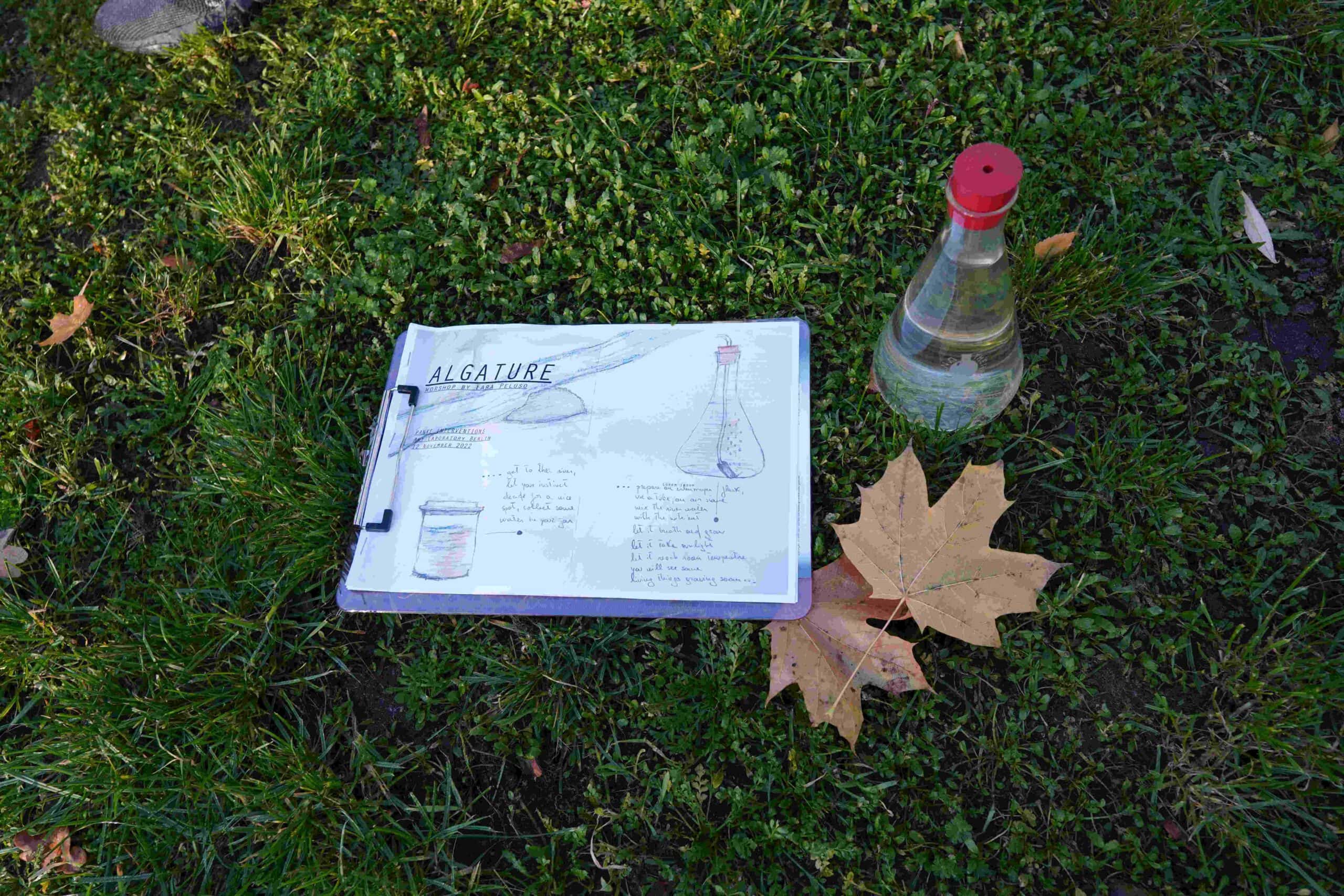 a clipboard with a paper titled "Algature" in the grass next to leaves and a flask