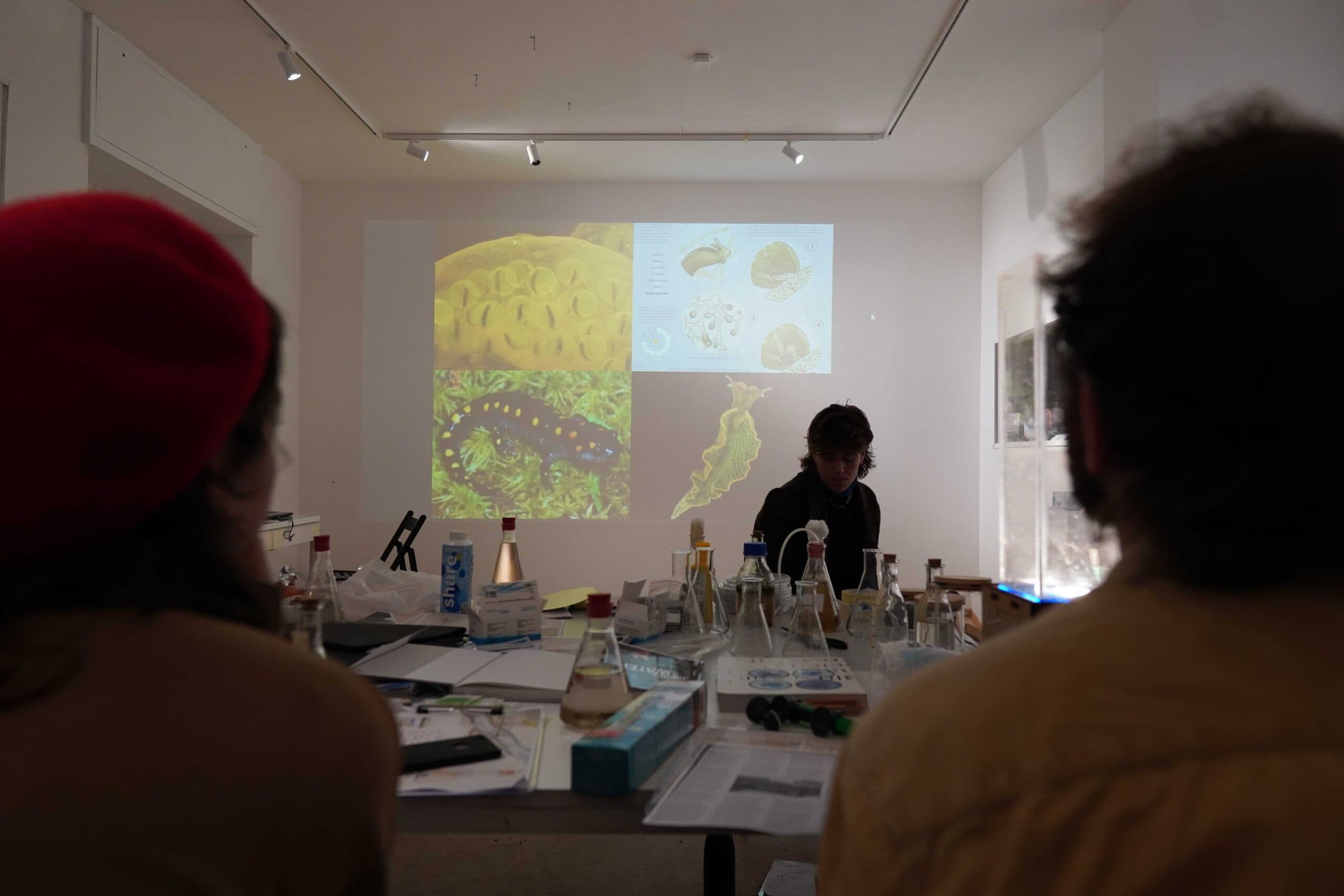 people sitting around atable with flasks on a wall is aprojection of animals like snails and amphibians who have a synbiotic relationship with algae