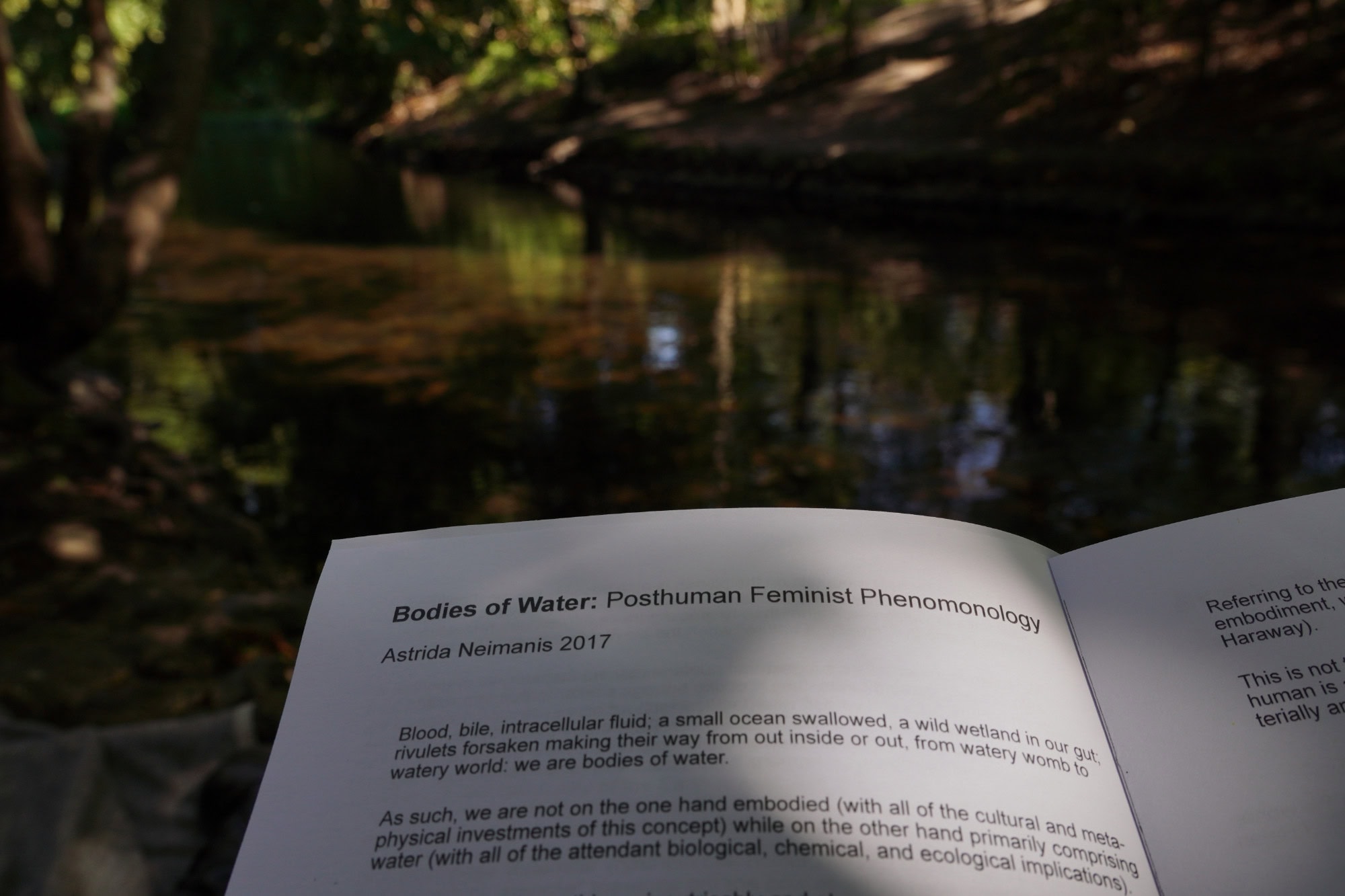 a book open" Bodies of Water: Posthuman Feminist Phenomenology," Astrida Neimanis 2017. Upper side is a river (behind the book)