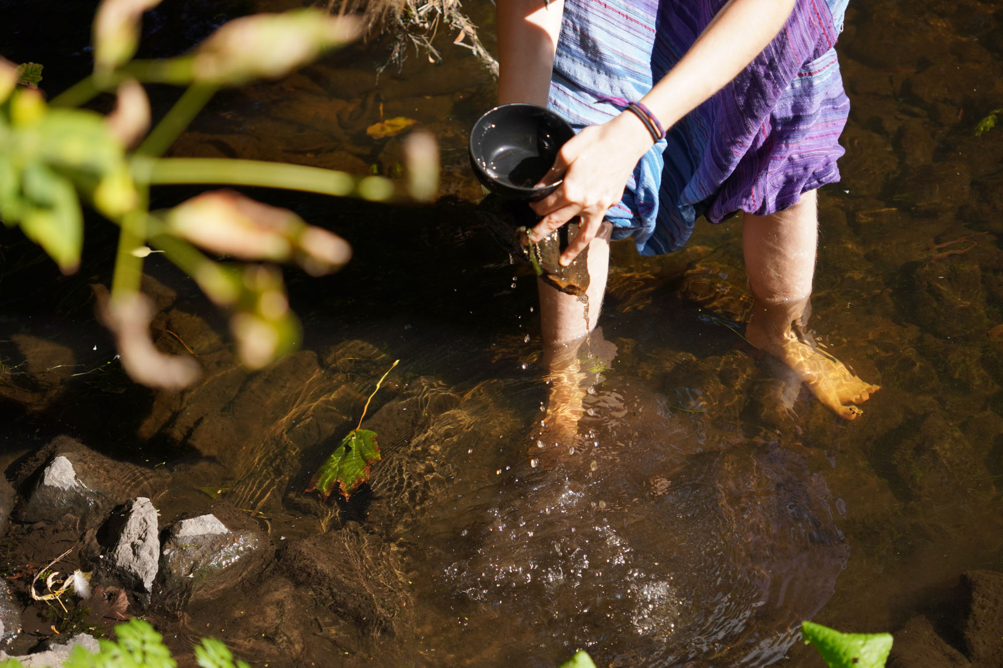 a woman standing in a river collecting something in a bowl