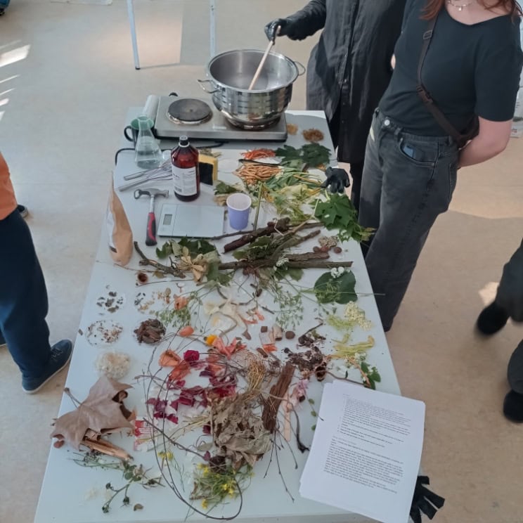 dried flowers on a table as someone stirs a pot of bioplastic