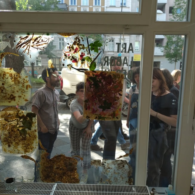 people placing dried plants and bioplastics on a window